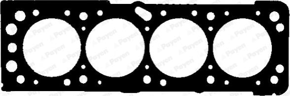 Payen AG8000 - Guarnizione, Testata www.autoricambi360.it