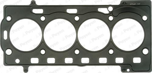 Payen AG8850 - Guarnizione, Testata www.autoricambi360.it