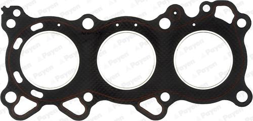 Payen AG8220 - Guarnizione, Testata www.autoricambi360.it