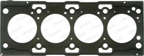 Payen AG7920 - Guarnizione, Testata www.autoricambi360.it