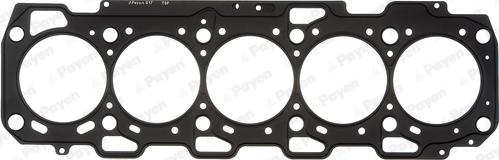 Payen AG7420 - Guarnizione, Testata www.autoricambi360.it