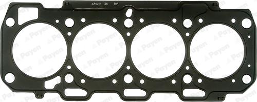 Payen AG7390 - Guarnizione, Testata www.autoricambi360.it