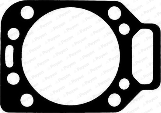 Payen AG7340 - Guarnizione, Testata www.autoricambi360.it