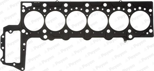 Payen AH5950 - Guarnizione, Testata www.autoricambi360.it