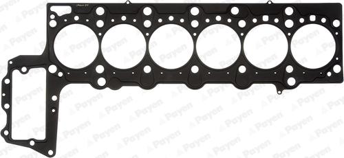 Payen AH5920 - Guarnizione, Testata www.autoricambi360.it