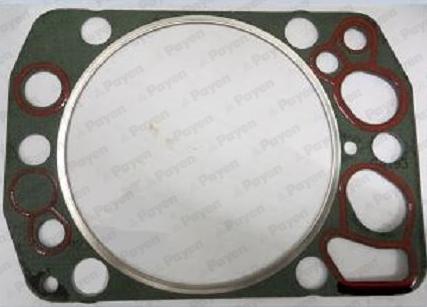 Payen AH5451 - Guarnizione, Testata www.autoricambi360.it
