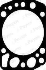 Payen AH5430 - Guarnizione, Testata www.autoricambi360.it