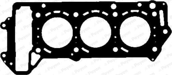 Payen AH5020 - Guarnizione, Testata www.autoricambi360.it