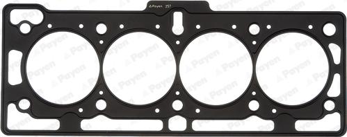 Payen AH5170 - Guarnizione, Testata www.autoricambi360.it