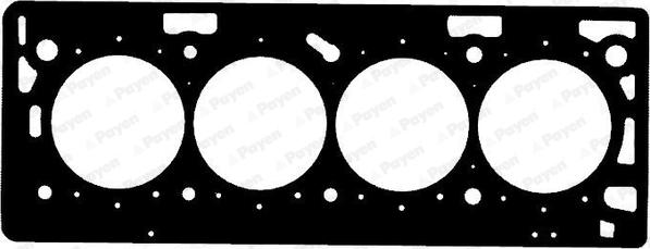 Payen AH5240 - Guarnizione, Testata www.autoricambi360.it