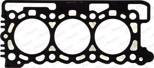Payen AH5733 - Guarnizione, Testata www.autoricambi360.it