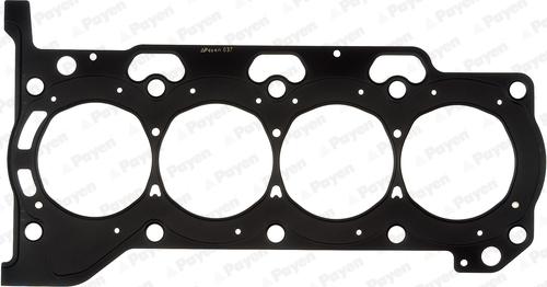 Payen AH6940 - Guarnizione, Testata www.autoricambi360.it