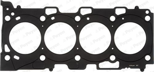 Payen AH6960 - Guarnizione, Testata www.autoricambi360.it