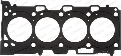 Payen AH6980 - Guarnizione, Testata www.autoricambi360.it