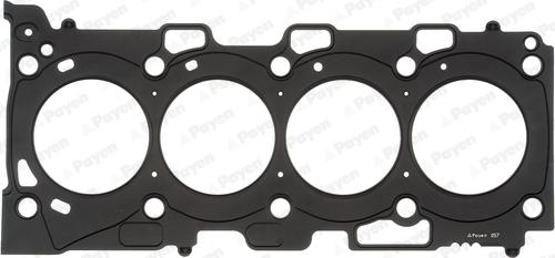 Payen AH6970 - Guarnizione, Testata www.autoricambi360.it
