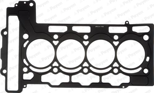Payen AH6440 - Guarnizione, Testata www.autoricambi360.it