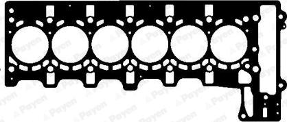 Payen AH6420 - Guarnizione, Testata www.autoricambi360.it