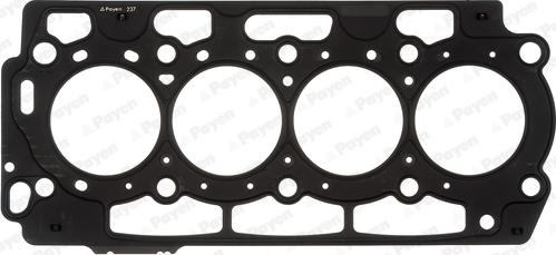 Payen AH6560 - Guarnizione, Testata www.autoricambi360.it