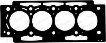 Payen AH6530 - Guarnizione, Testata www.autoricambi360.it