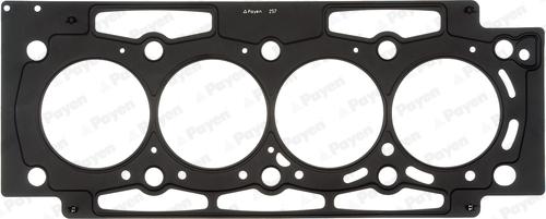 Payen AH6630 - Guarnizione, Testata www.autoricambi360.it