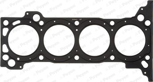 Payen AH6820 - Guarnizione, Testata www.autoricambi360.it