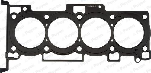 Payen AH6320 - Guarnizione, Testata www.autoricambi360.it
