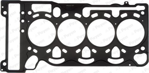 Payen AH6220 - Guarnizione, Testata www.autoricambi360.it