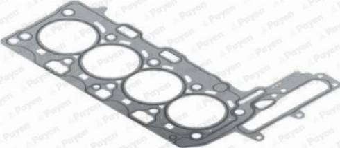Payen AH8020 - Guarnizione, Testata www.autoricambi360.it