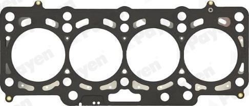 Payen AH8160 - Guarnizione, Testata www.autoricambi360.it