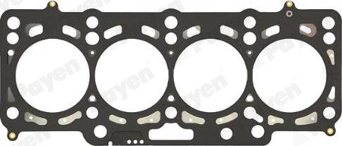 Payen AH8170 - Guarnizione, Testata www.autoricambi360.it