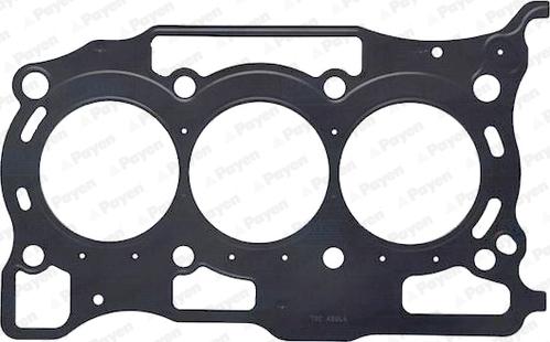 Payen AH7660 - Guarnizione, Testata www.autoricambi360.it