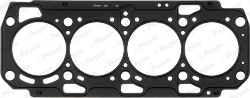Payen AH7190 - Guarnizione, Testata www.autoricambi360.it