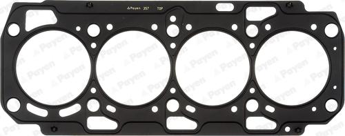Payen AH7170 - Guarnizione, Testata www.autoricambi360.it