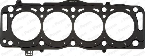Payen AH7310 - Guarnizione, Testata www.autoricambi360.it