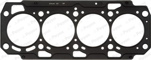 Payen AH7380 - Guarnizione, Testata www.autoricambi360.it