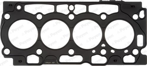 Payen AH7270 - Guarnizione, Testata www.autoricambi360.it