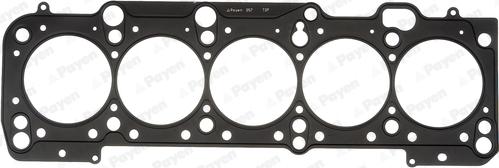 Payen AY960 - Guarnizione, Testata www.autoricambi360.it