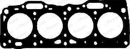Payen AY460 - Guarnizione, Testata www.autoricambi360.it