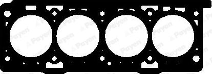 Payen AY470 - Guarnizione, Testata www.autoricambi360.it