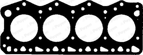Payen AY591 - Guarnizione, Testata www.autoricambi360.it