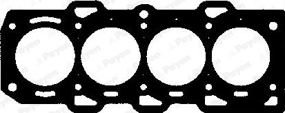 Payen AY500 - Guarnizione, Testata www.autoricambi360.it