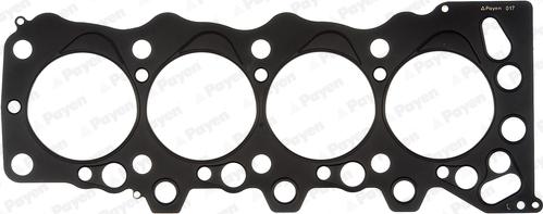 Payen AY850 - Guarnizione, Testata www.autoricambi360.it