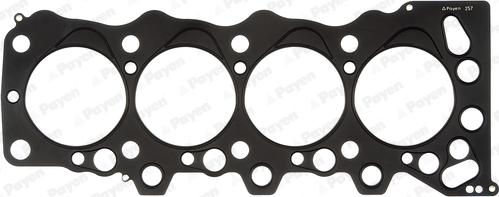 Payen AY860 - Guarnizione, Testata www.autoricambi360.it