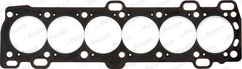 Payen AY260 - Guarnizione, Testata www.autoricambi360.it