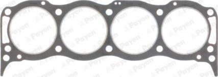 Payen AY200 - Guarnizione, Testata www.autoricambi360.it