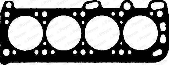 Payen BD040 - Guarnizione, Testata www.autoricambi360.it