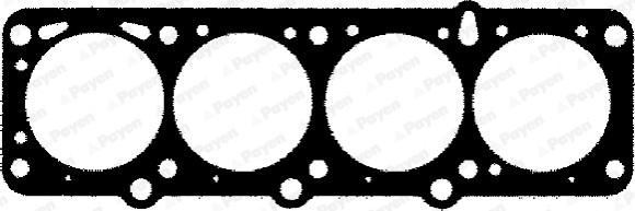 Payen BD070 - Guarnizione, Testata www.autoricambi360.it