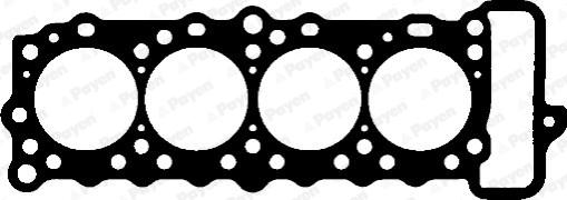 Payen BE540 - Guarnizione, Testata www.autoricambi360.it