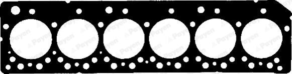 Payen BF970 - Guarnizione, Testata www.autoricambi360.it