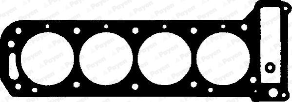 Payen BJ170 - Guarnizione, Testata www.autoricambi360.it